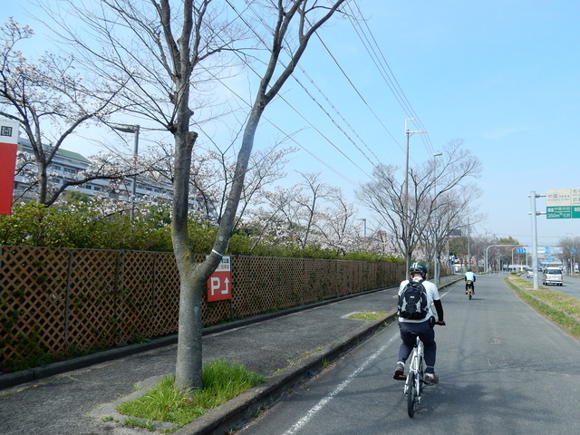 DSCN7855