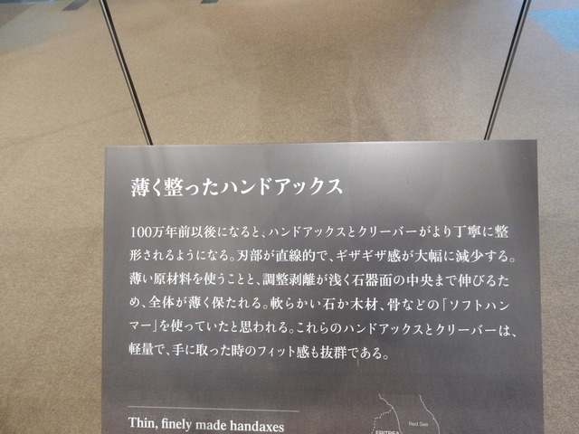 DSCN7221