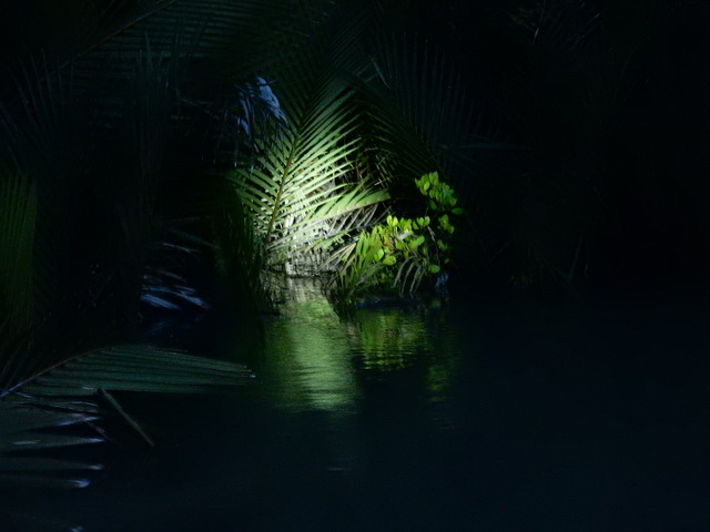 DSCN4183