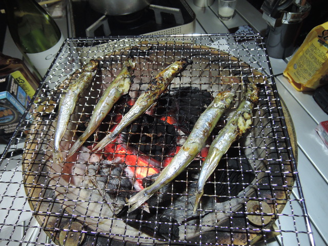 DSCN1360