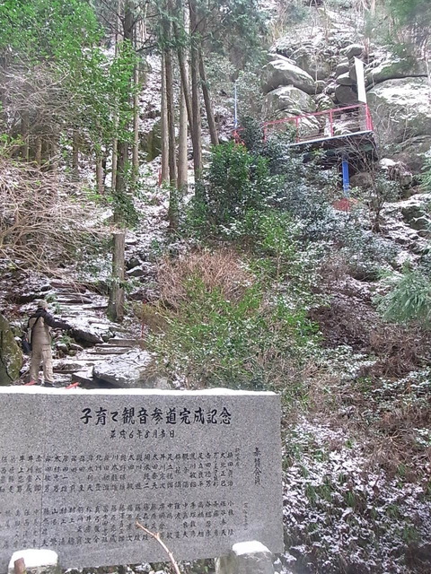 RIMG14808