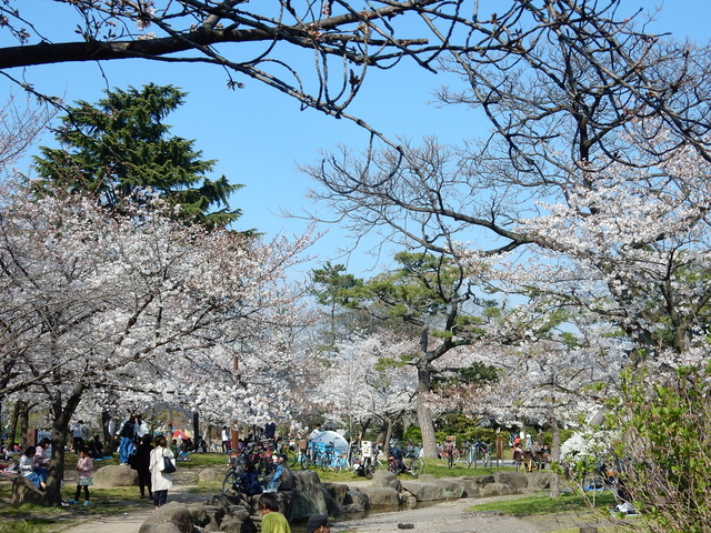 DSCN7906