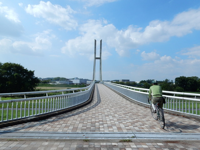 DSCN8865