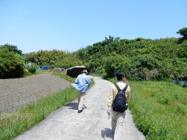 DSCN8367