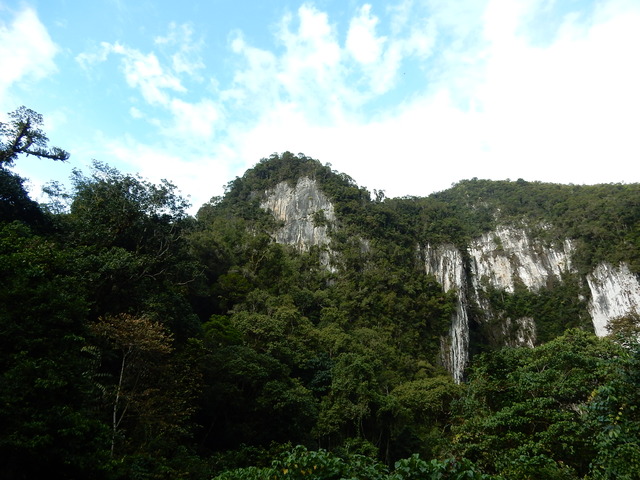 DSCN0481