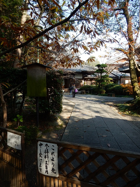 DSCN9775