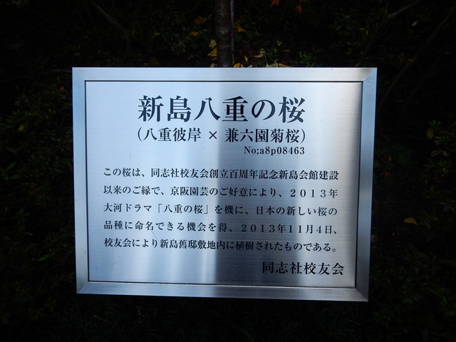 DSCN6409