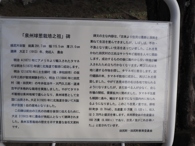 P3163900