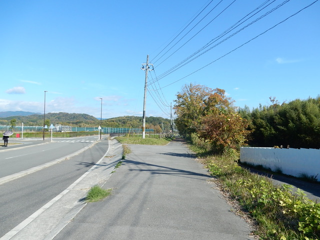 DSCN8408