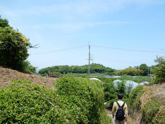 DSCN8378