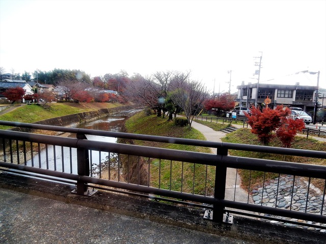DSCN9832
