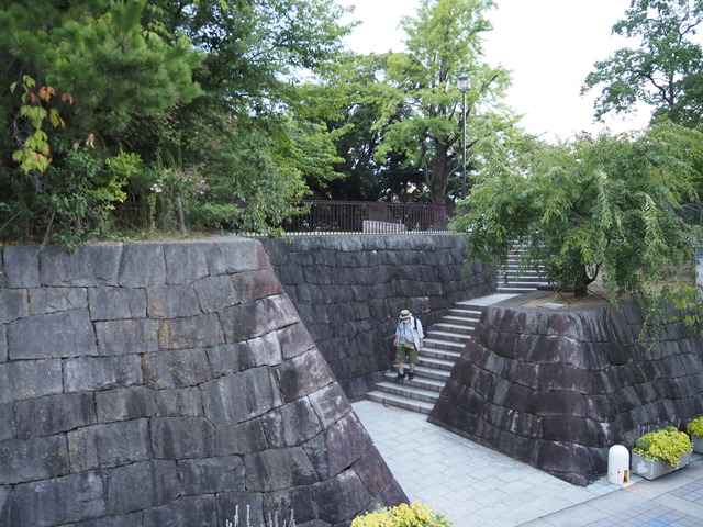 P7310397