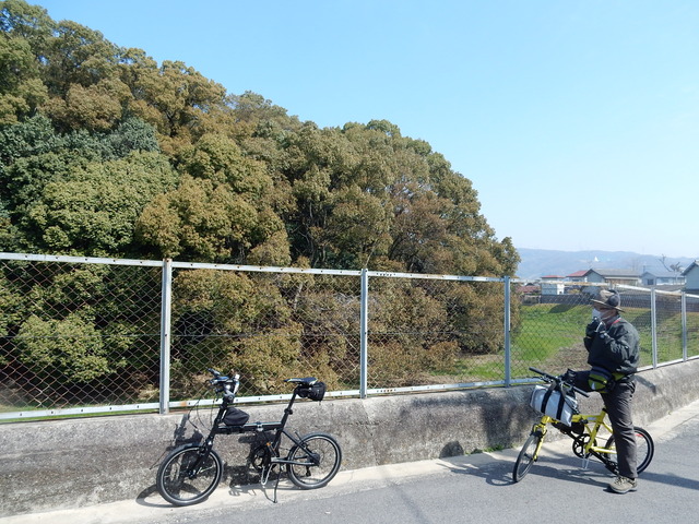 DSCN7629