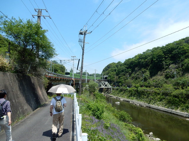 DSCN2396