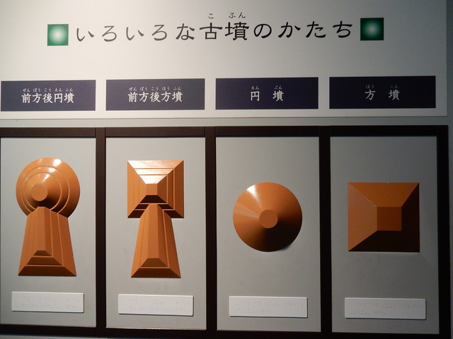 DSCN8417