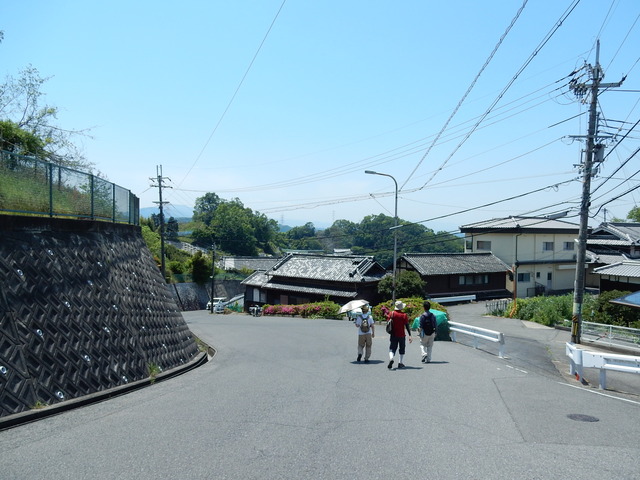 DSCN2346