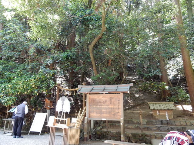 DSCN8341