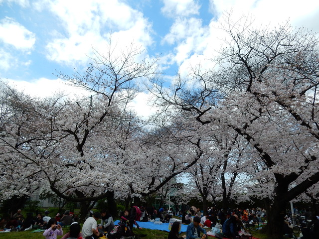DSCN7436