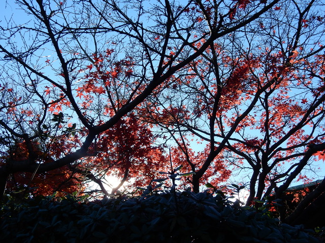 DSCN9927