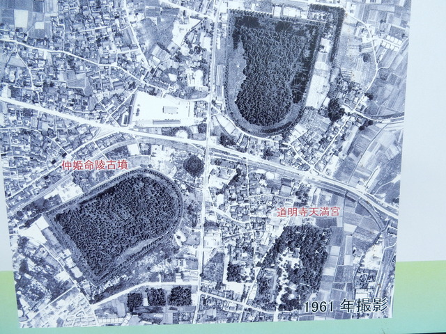 DSCN7631