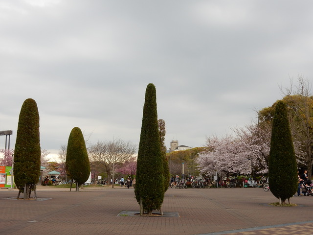 DSCN7546