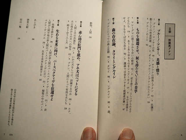 P4255946