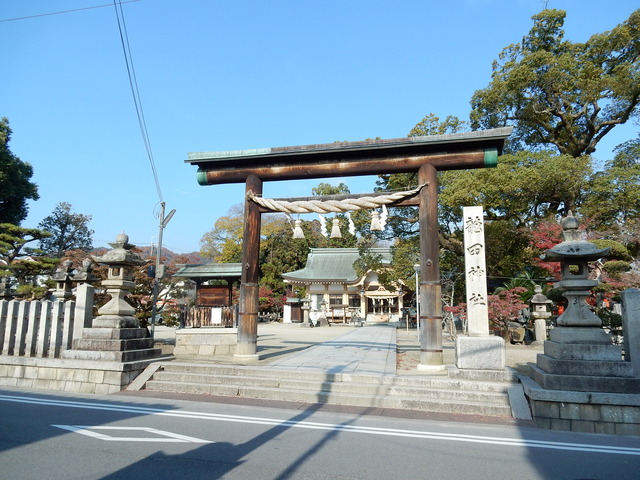 DSCN9781