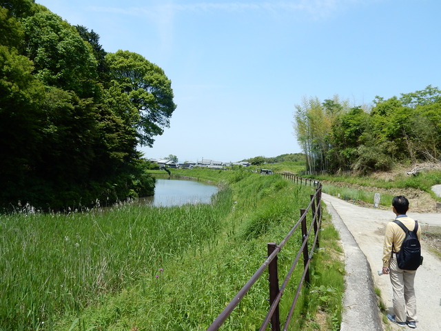 DSCN8385