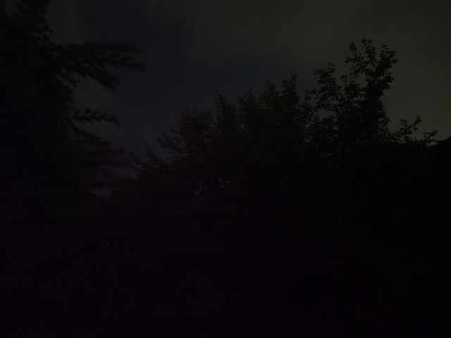 P6136406