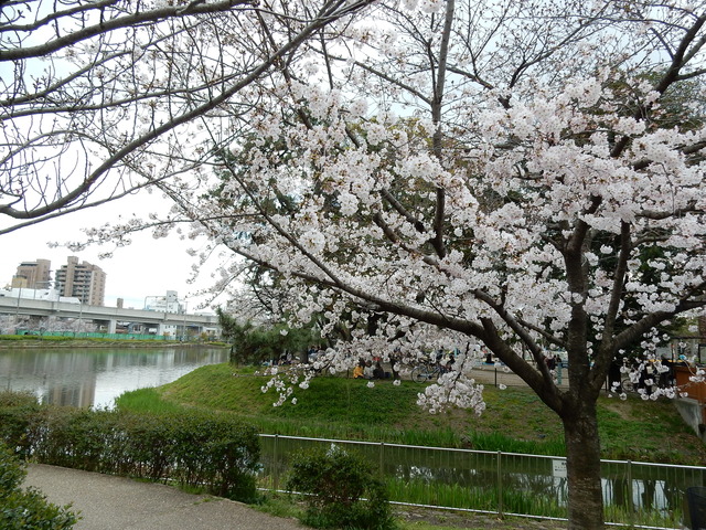 DSCN7474