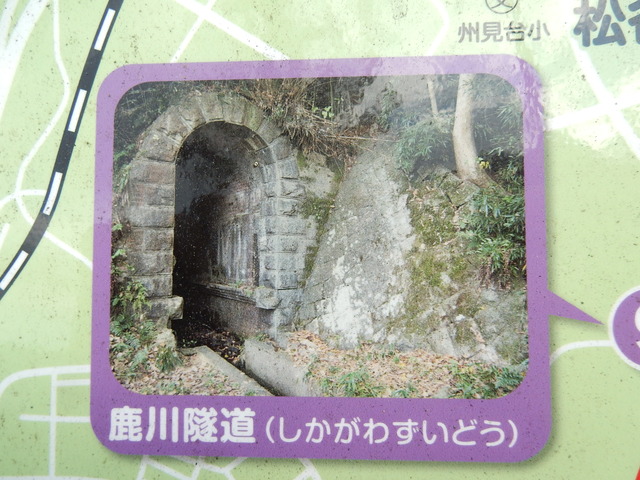 DSCN8438