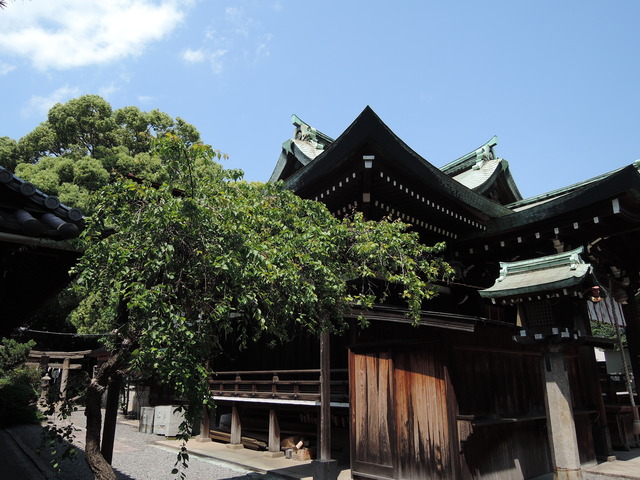 DSCN2265