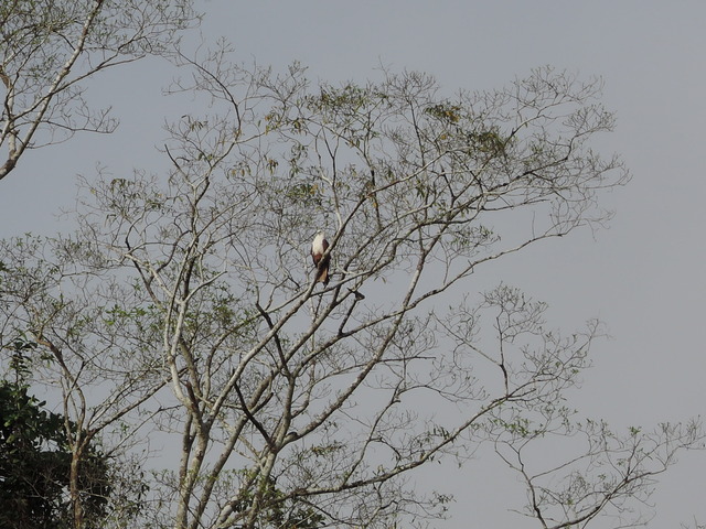 DSCN0495