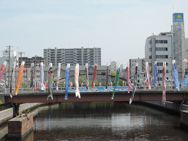 DSCN2088