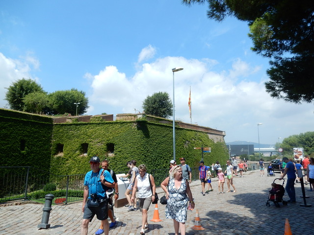 DSCN4753