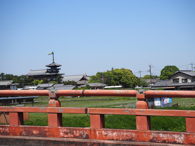 P4223830