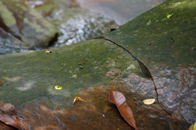 IMGP3436