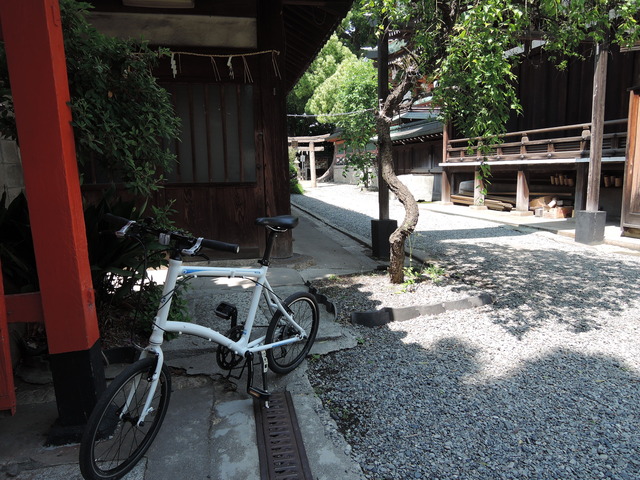 DSCN2264