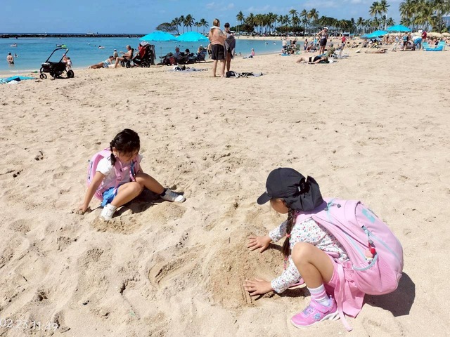 LINE_ALBUM_2026.2.24㈪HAWAII3日目アトランティス潜水艦ツアー&Kiyomiおにぎり_260301_42