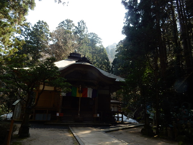 DSCN1541