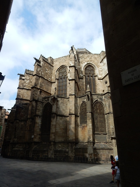 DSCN4667