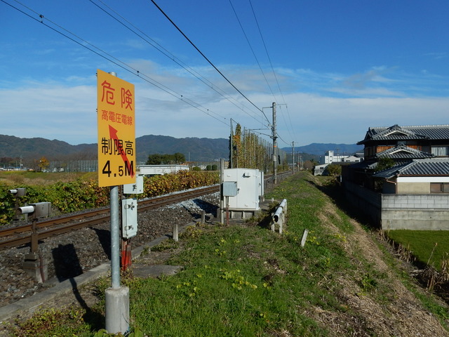 DSCN8342