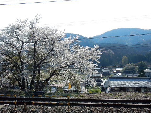 DSCN0909