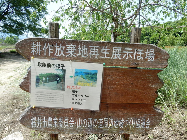 DSCN8381