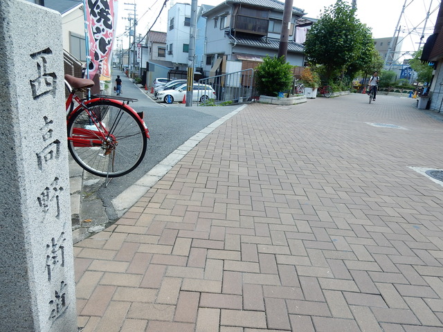 DSCN8802