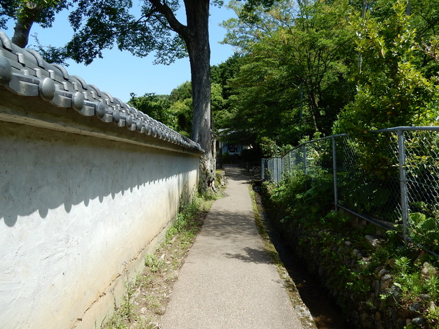 DSCN8309