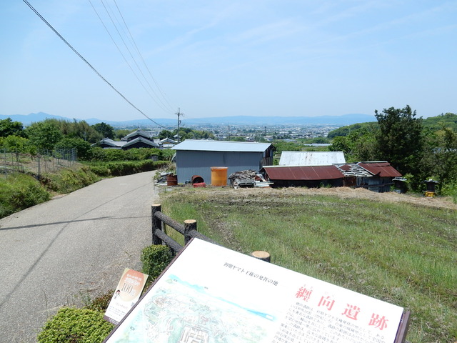DSCN8371