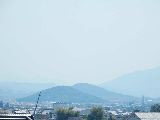 DSCN8425