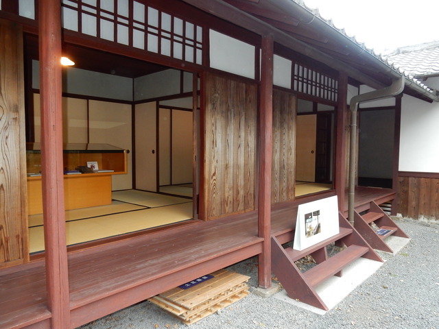 DSCN6878