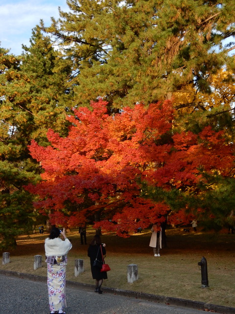 DSCN6474